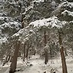 Valmont In Center ヴェルビエール