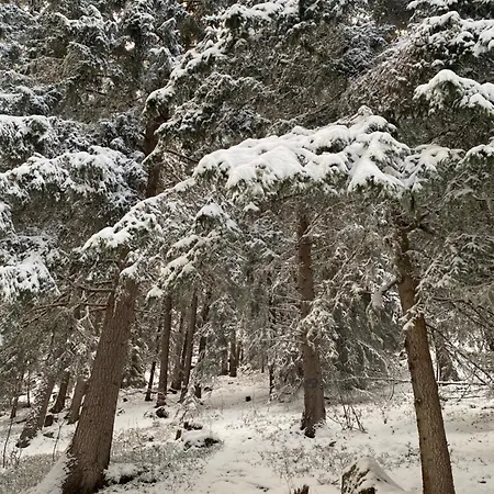 Valmont In Center Verbier