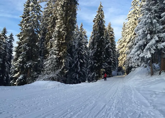 Valmont In Center Lägenhet Verbier