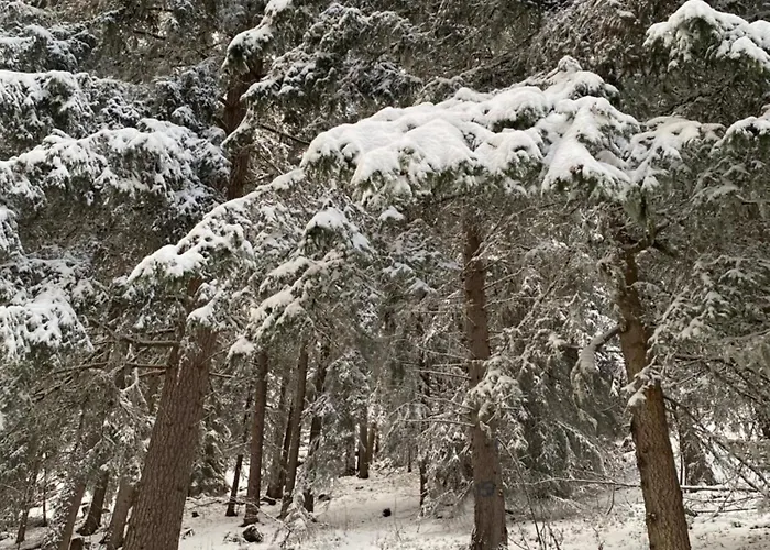 Valmont In Center Вербье